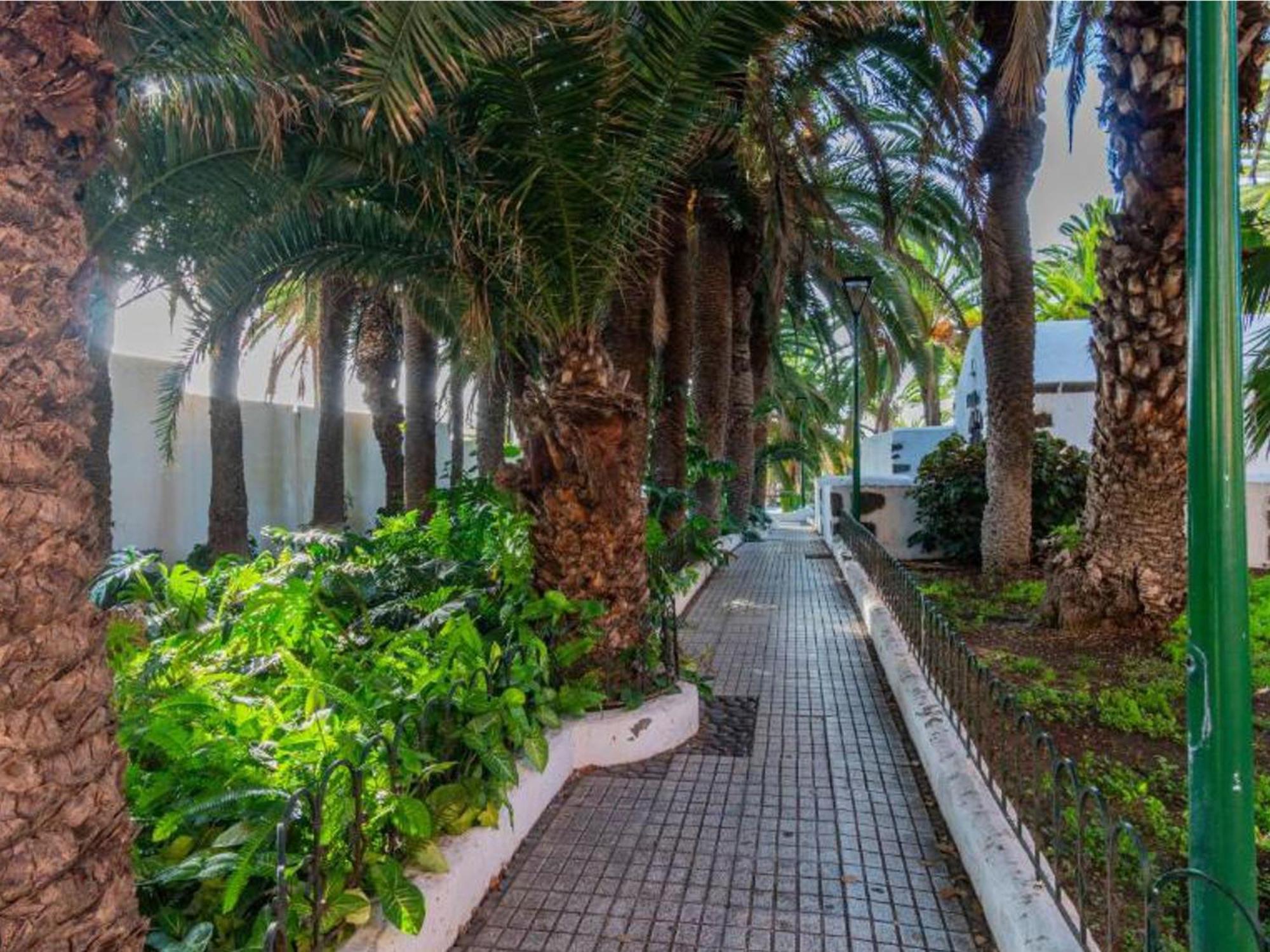 Apartamento Live Puerto Valle Luz Puerto de la Cruz (Tenerife)